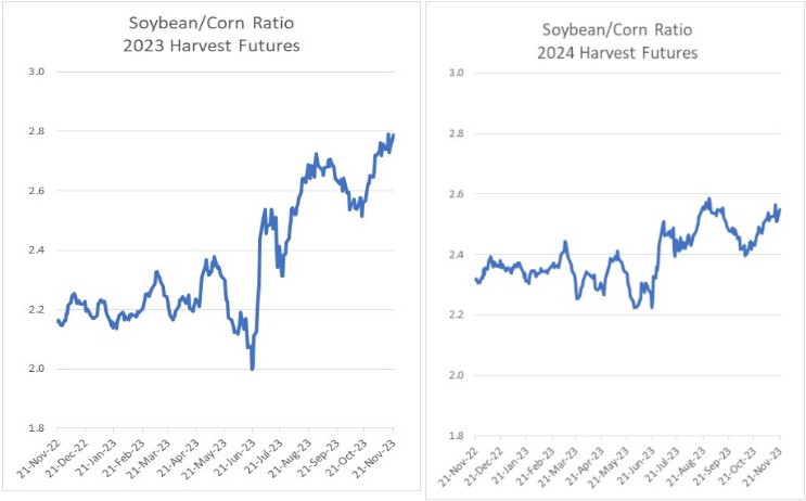 Soybean/corn price ratio 2023 vs 2024